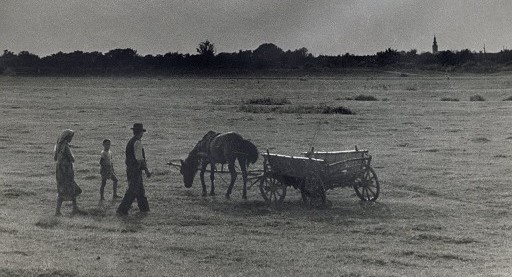 Изложба фотографија „Заједно према светлости“